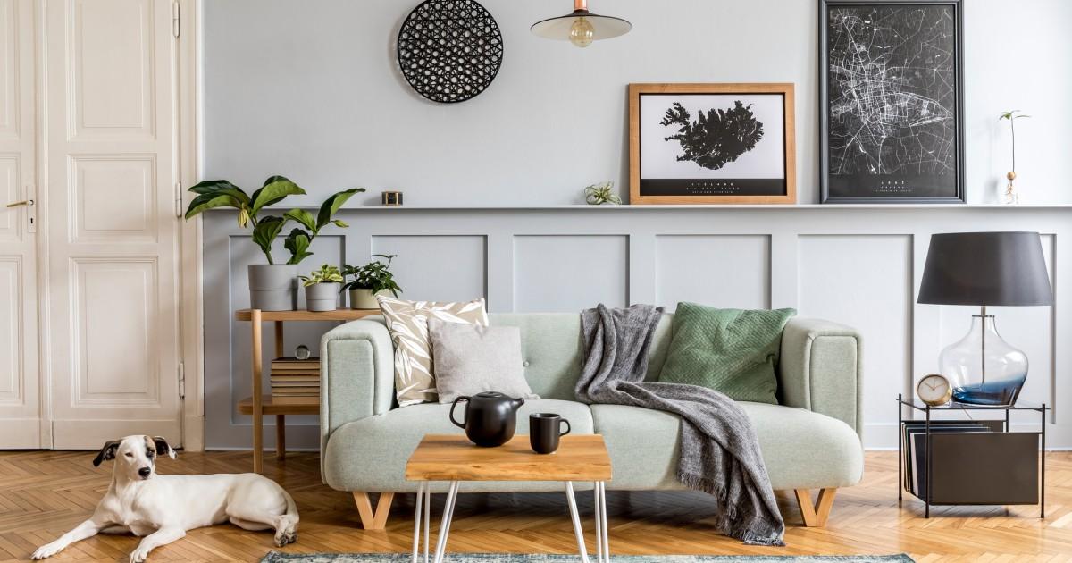 Comfortabel, hond op een houten vloer. Hond op een onderhoudsvriendelijke houten vloer in een gezellig interieur.